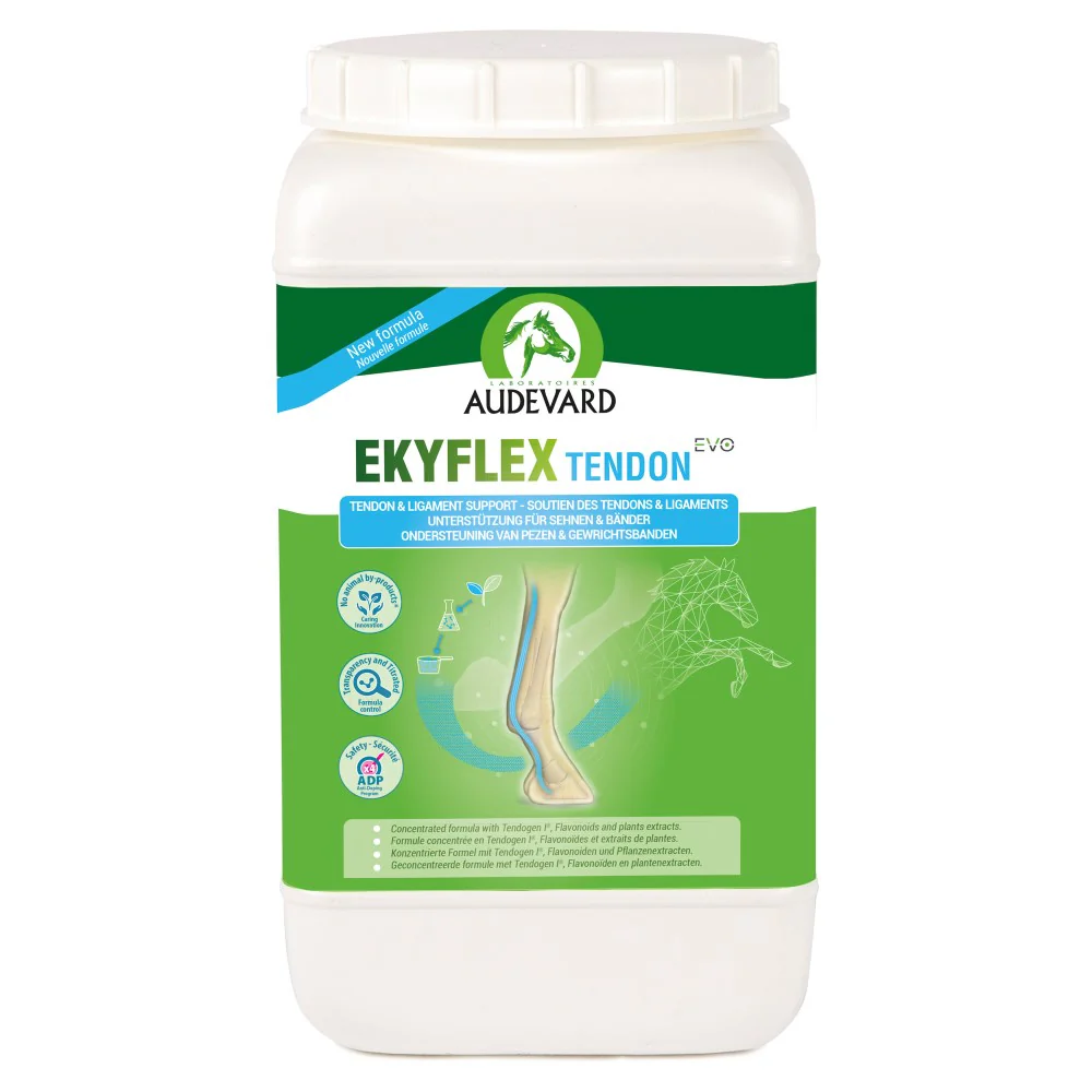 Audevard Ekyflex Tendon Evo - Nutrition & Tendon Support For Horses - Image 3