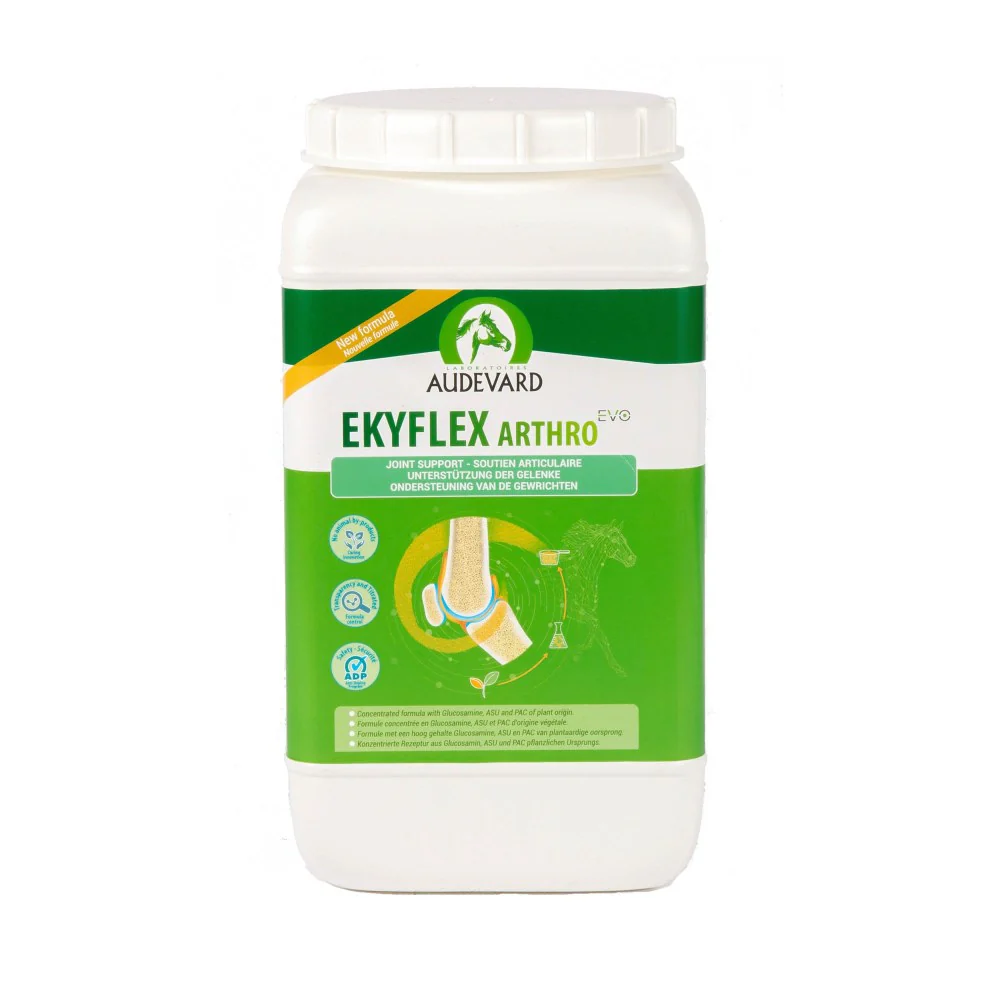 Audevard Ekyflex Arthro EVO - Joint Supplement Support - Image 4