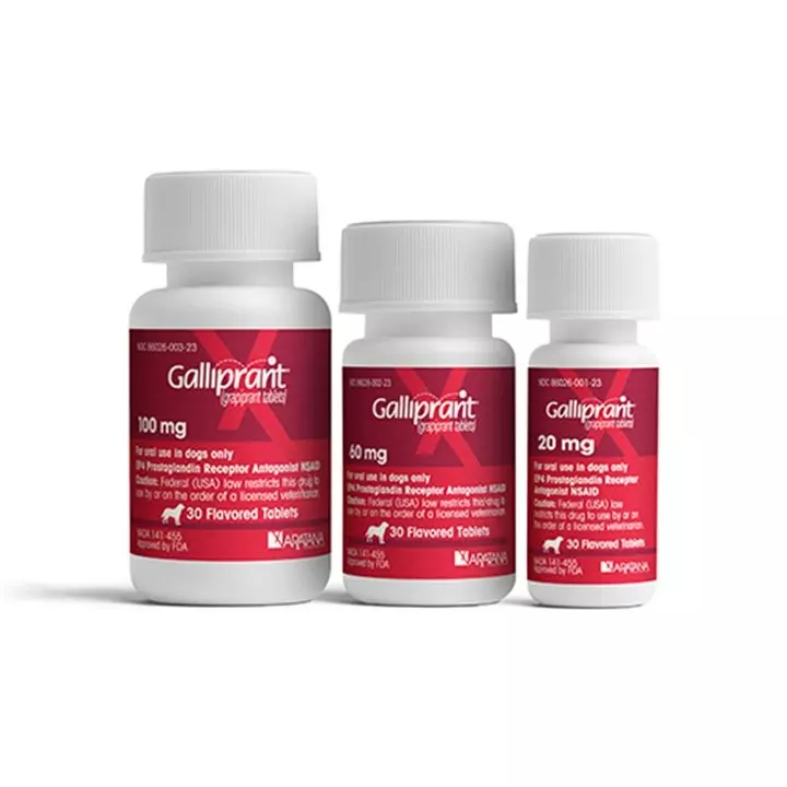 Galliprant Tablets for Dogs - Image 3