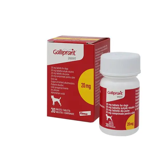Galliprant Tablets for Dogs - Image 5