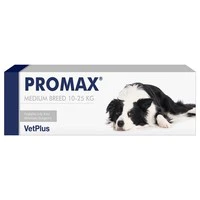 Promax Paste Syringe - Image 3