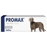 Promax Paste Syringe - Image 4