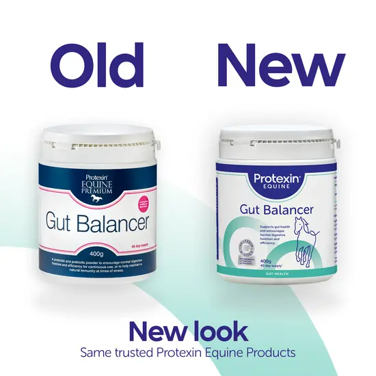 Protexin Gut Balancer - Image 4